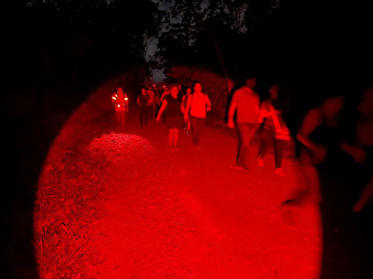 Trilha noturna na Serra do Curral oferece contato com a natureza e vista de Belo Horizonte